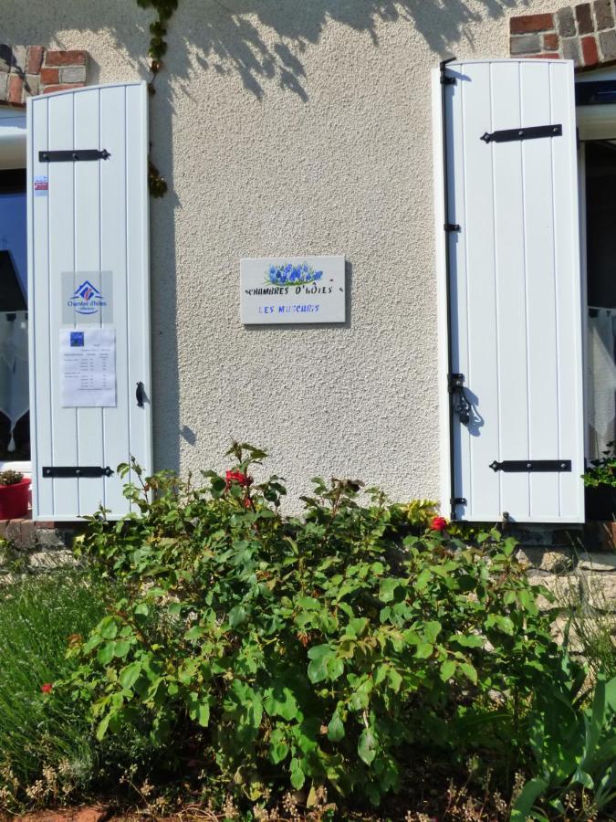 Chambres D'Hotes Les Muscaris Feins-en-Gatinais Luaran gambar