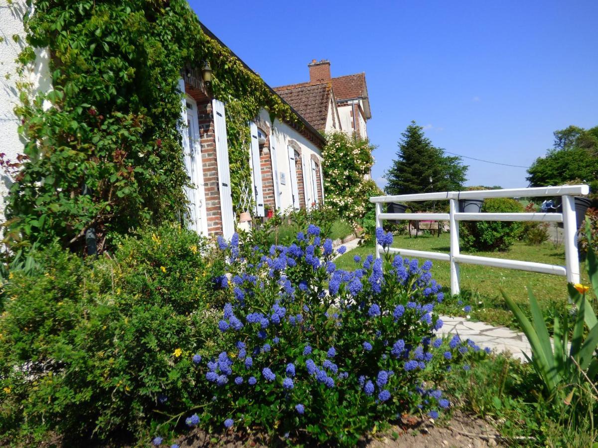 Chambres D'Hotes Les Muscaris Feins-en-Gatinais Luaran gambar