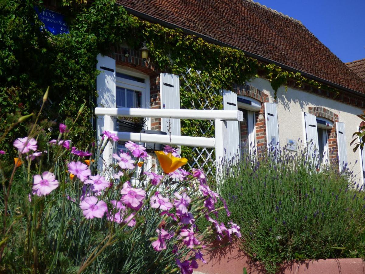 Chambres D'Hotes Les Muscaris Feins-en-Gatinais Luaran gambar