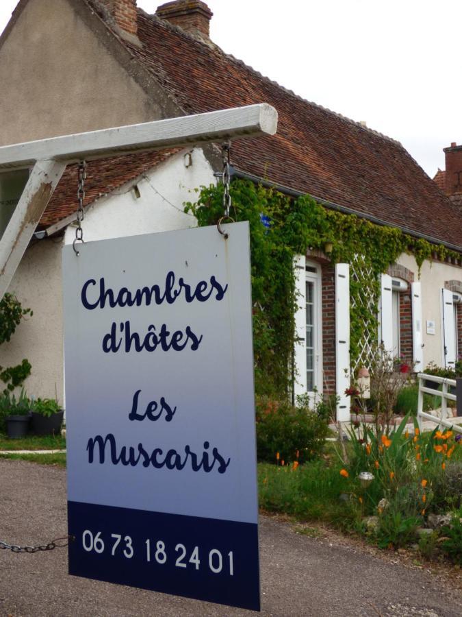 Chambres D'Hotes Les Muscaris Feins-en-Gatinais Luaran gambar